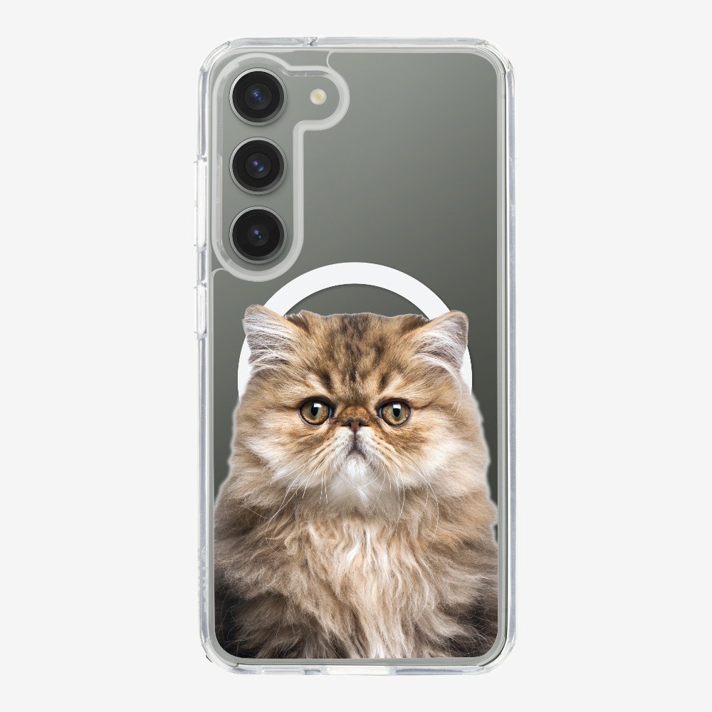 Persian Kitten (Transparent) Phone Case