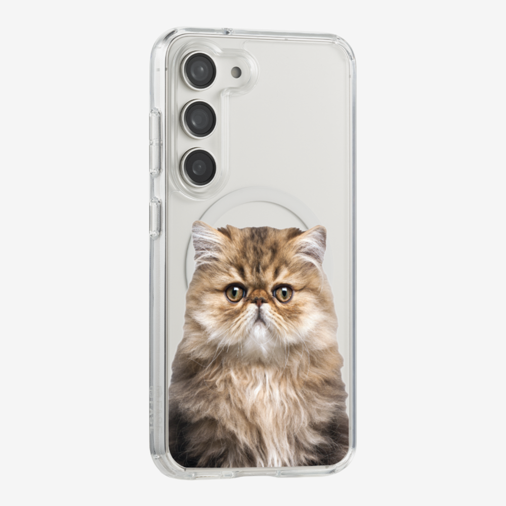 Persian Kitten (Transparent) Phone Case