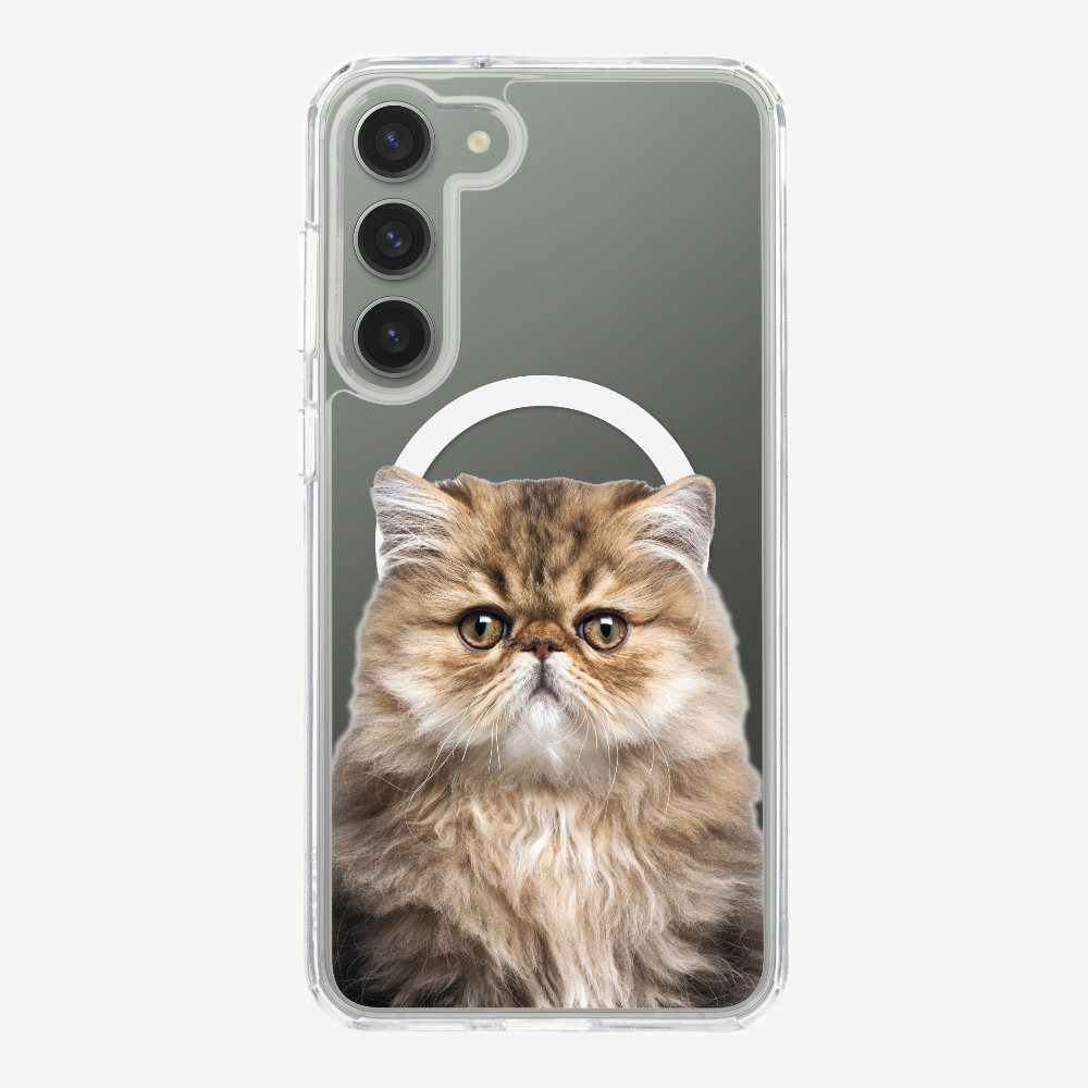 Persian Kitten (Transparent) Phone Case