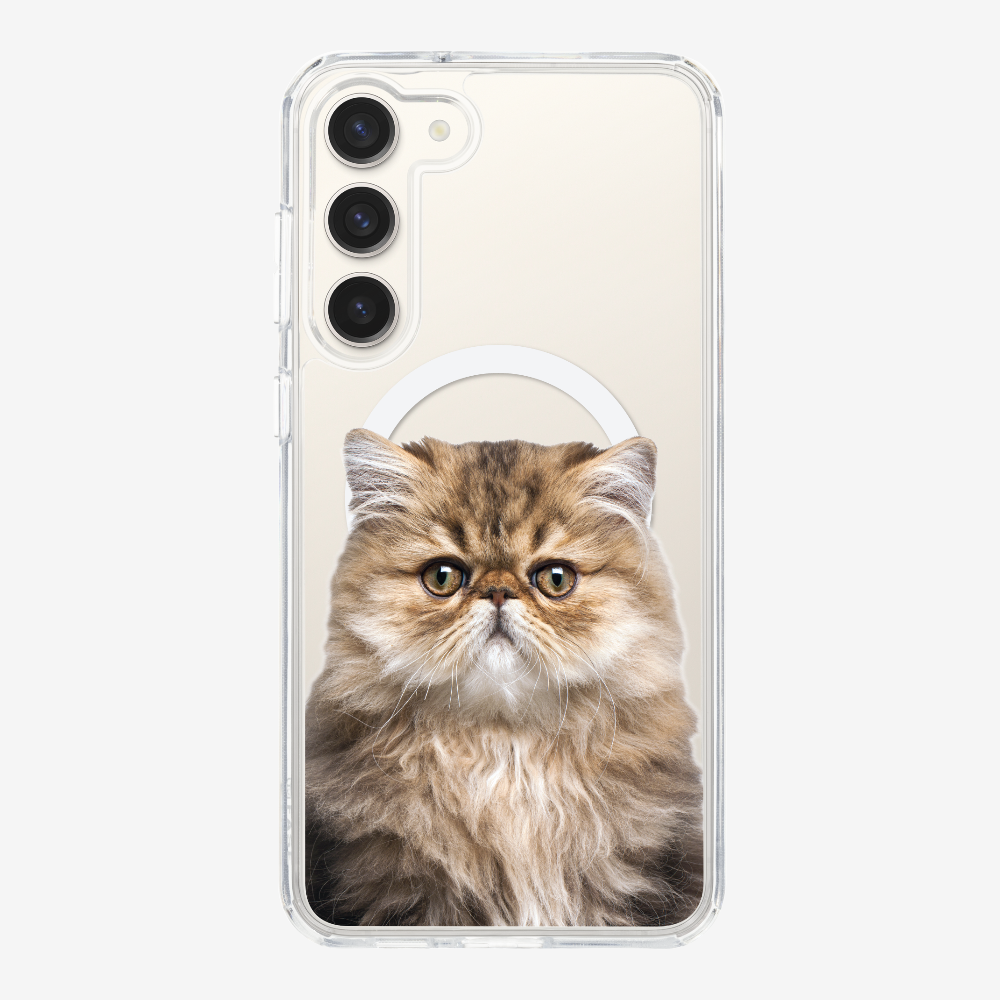 Persian Kitten (Transparent) Phone Case