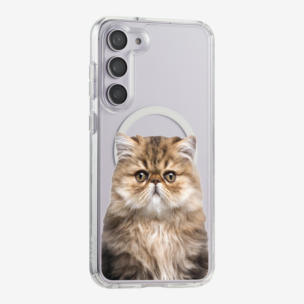 Persian Kitten (Transparent) Phone Case