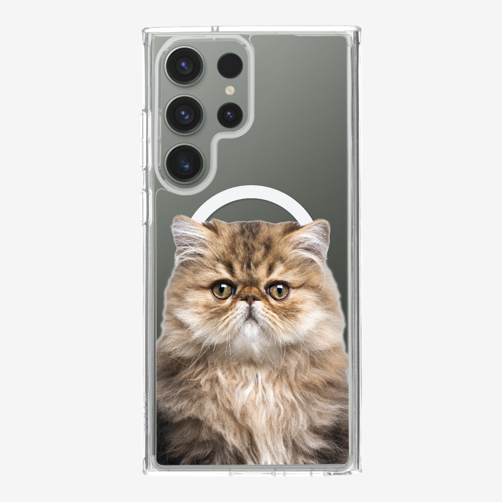 Persian Kitten (Transparent) Phone Case