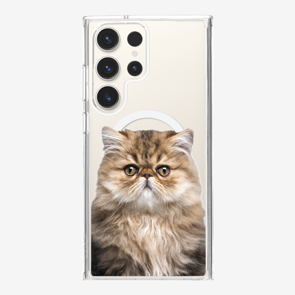 Persian Kitten (Transparent) Phone Case