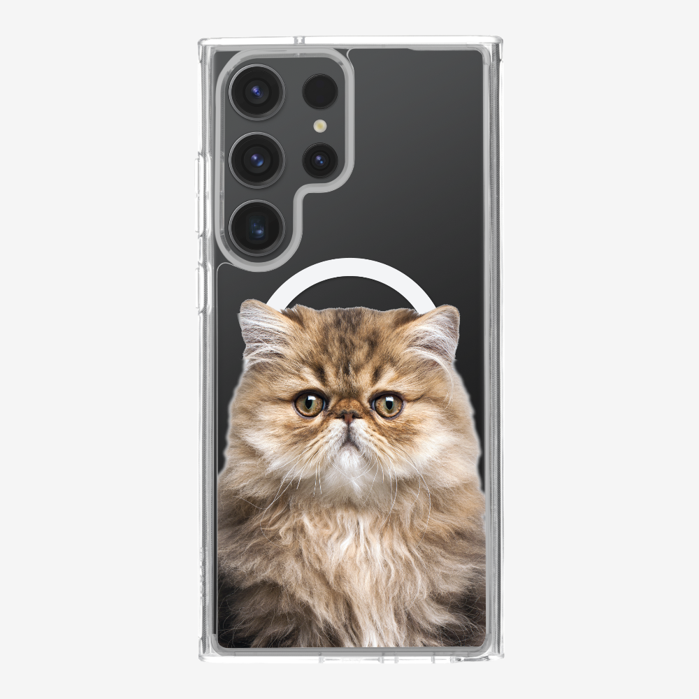 Persian Kitten (Transparent) Phone Case