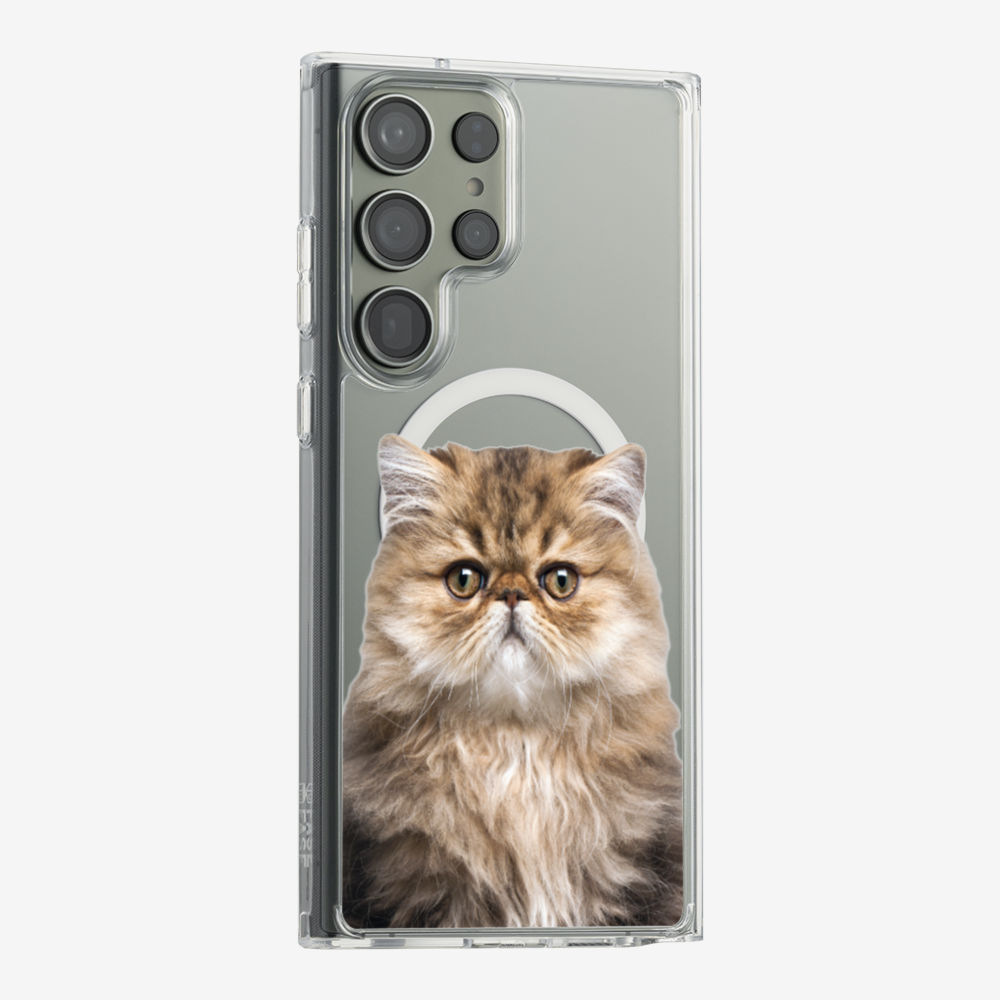 Persian Kitten (Transparent) Phone Case