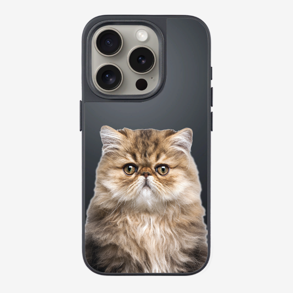 Persian Kitten (Transparent) Phone Case