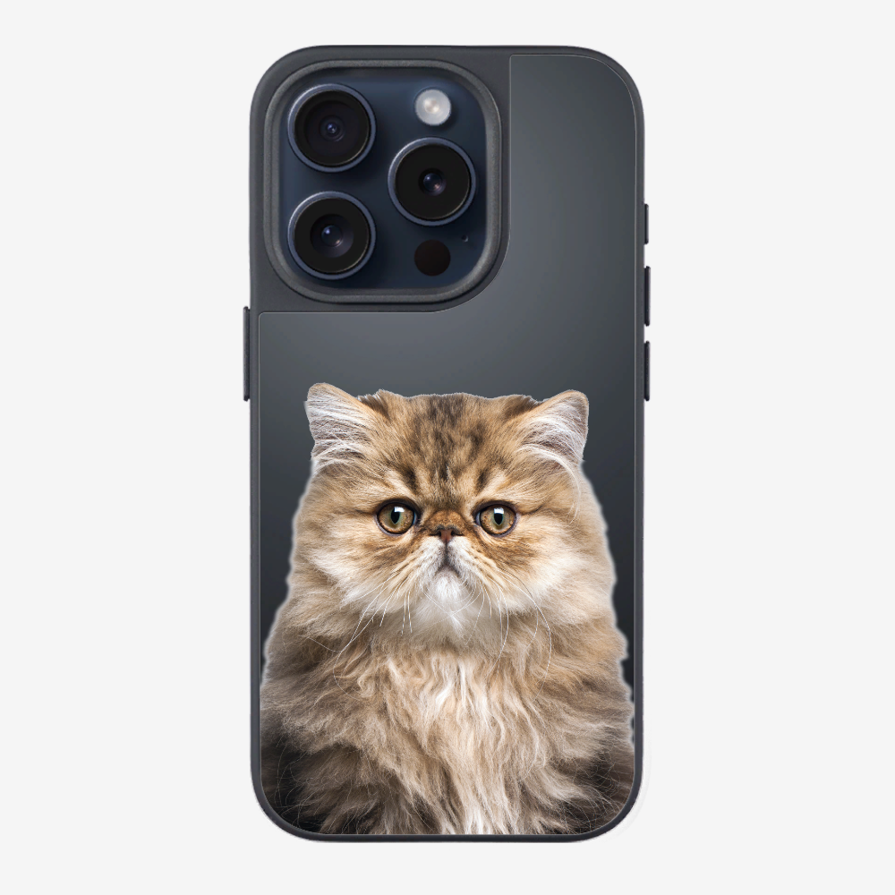 Persian Kitten (Transparent) Phone Case