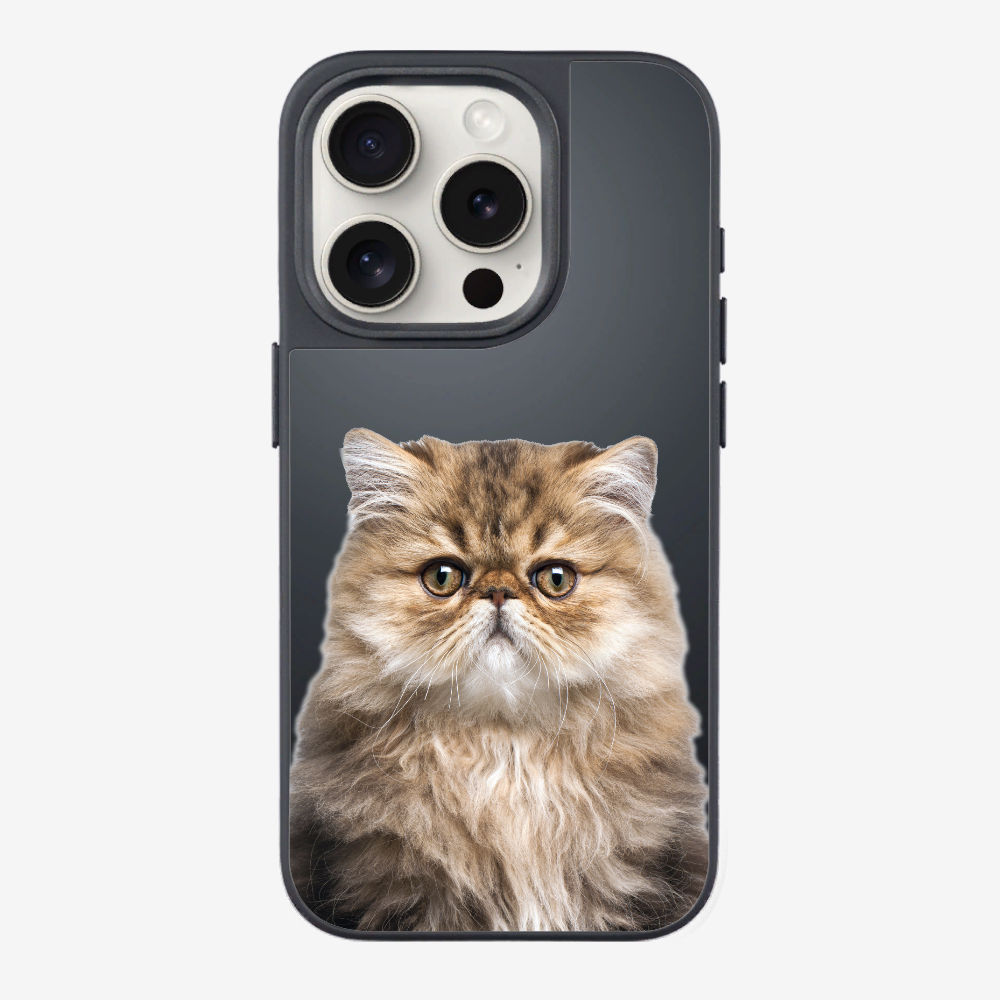 Persian Kitten (Transparent) Phone Case