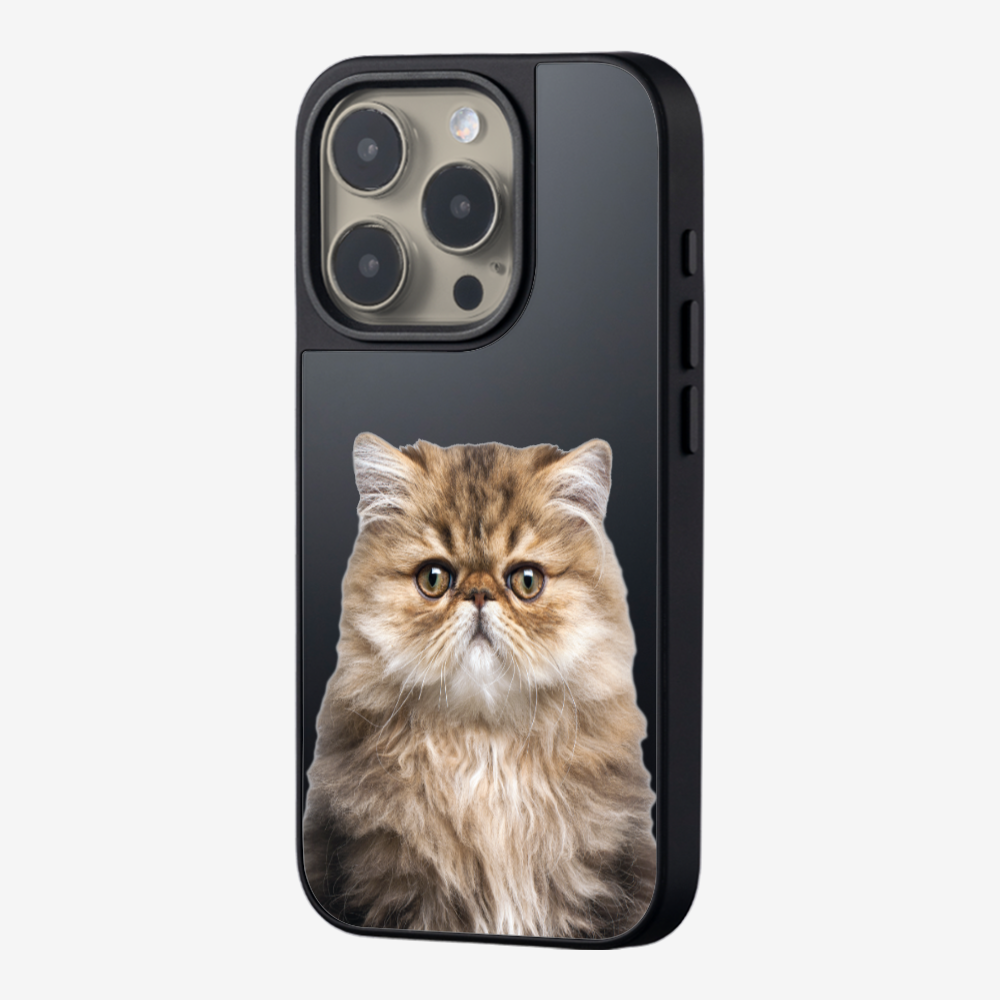 Persian Kitten (Transparent) Phone Case