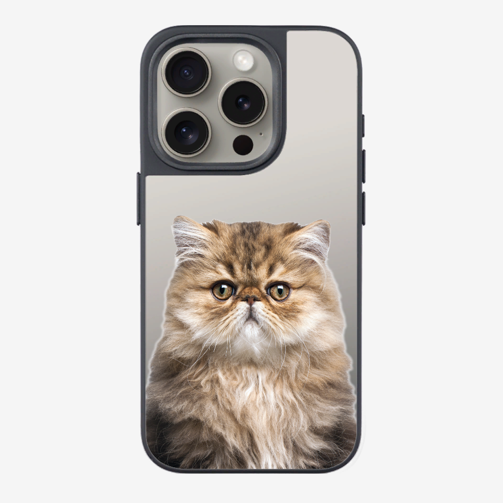 Persian Kitten (Transparent) Phone Case