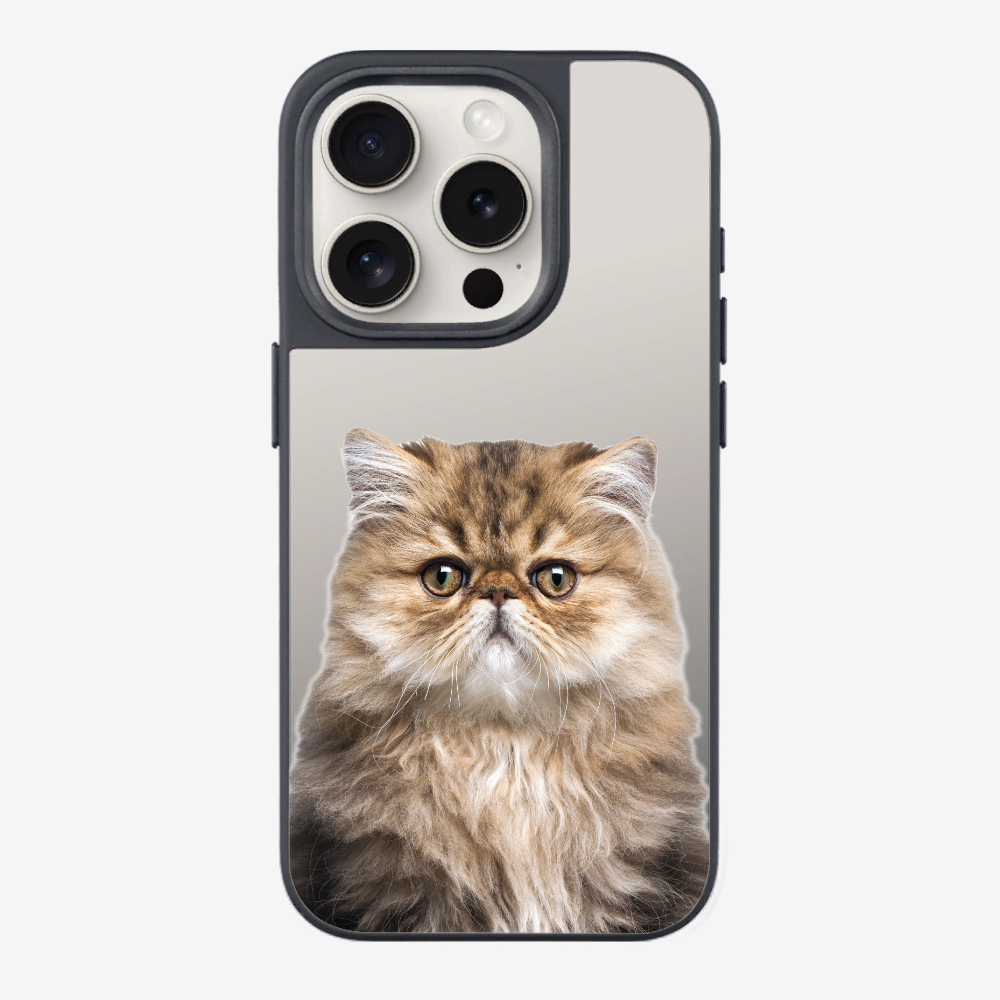 Persian Kitten (Transparent) Phone Case