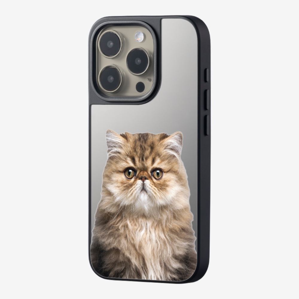 Persian Kitten (Transparent) Phone Case