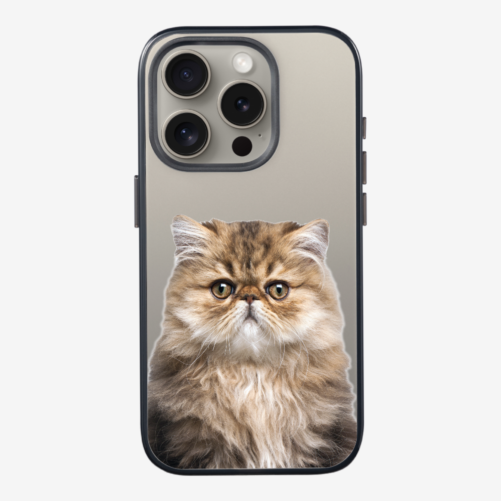 Persian Kitten (Transparent) Phone Case