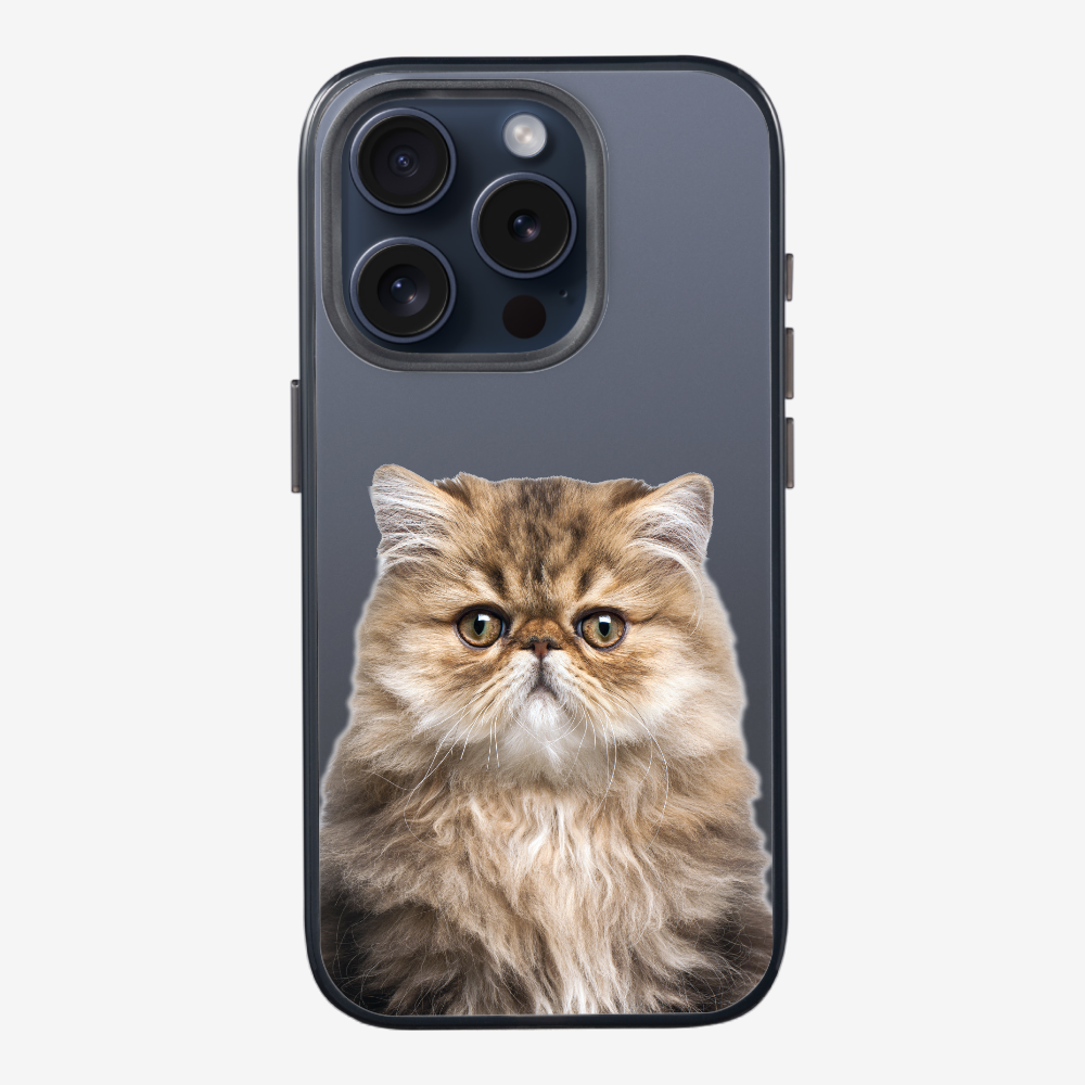 Persian Kitten (Transparent) Phone Case