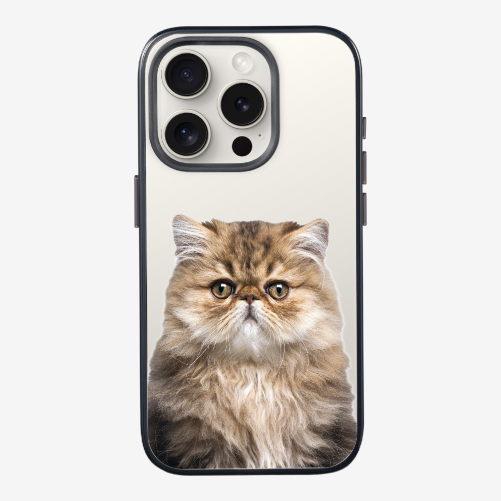 Persian Kitten (Transparent) Phone Case