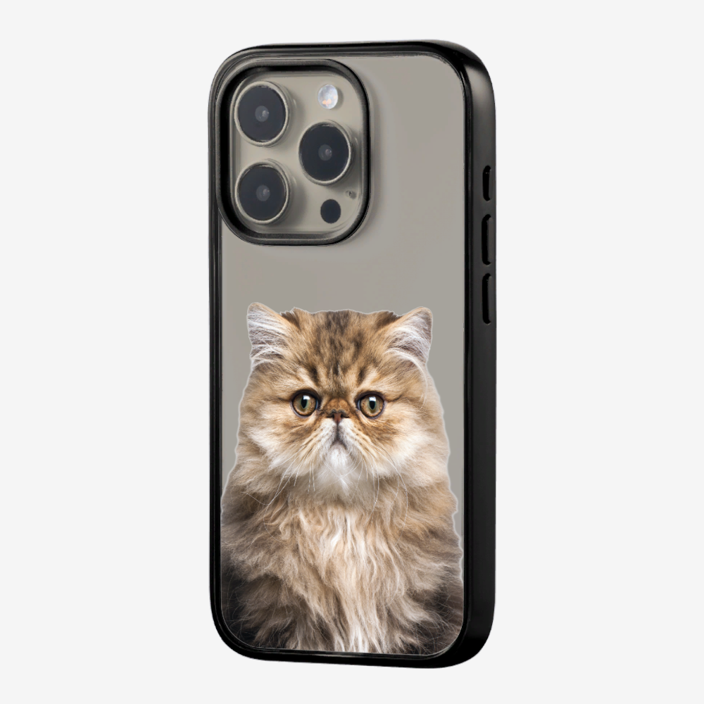 Persian Kitten (Transparent) Phone Case