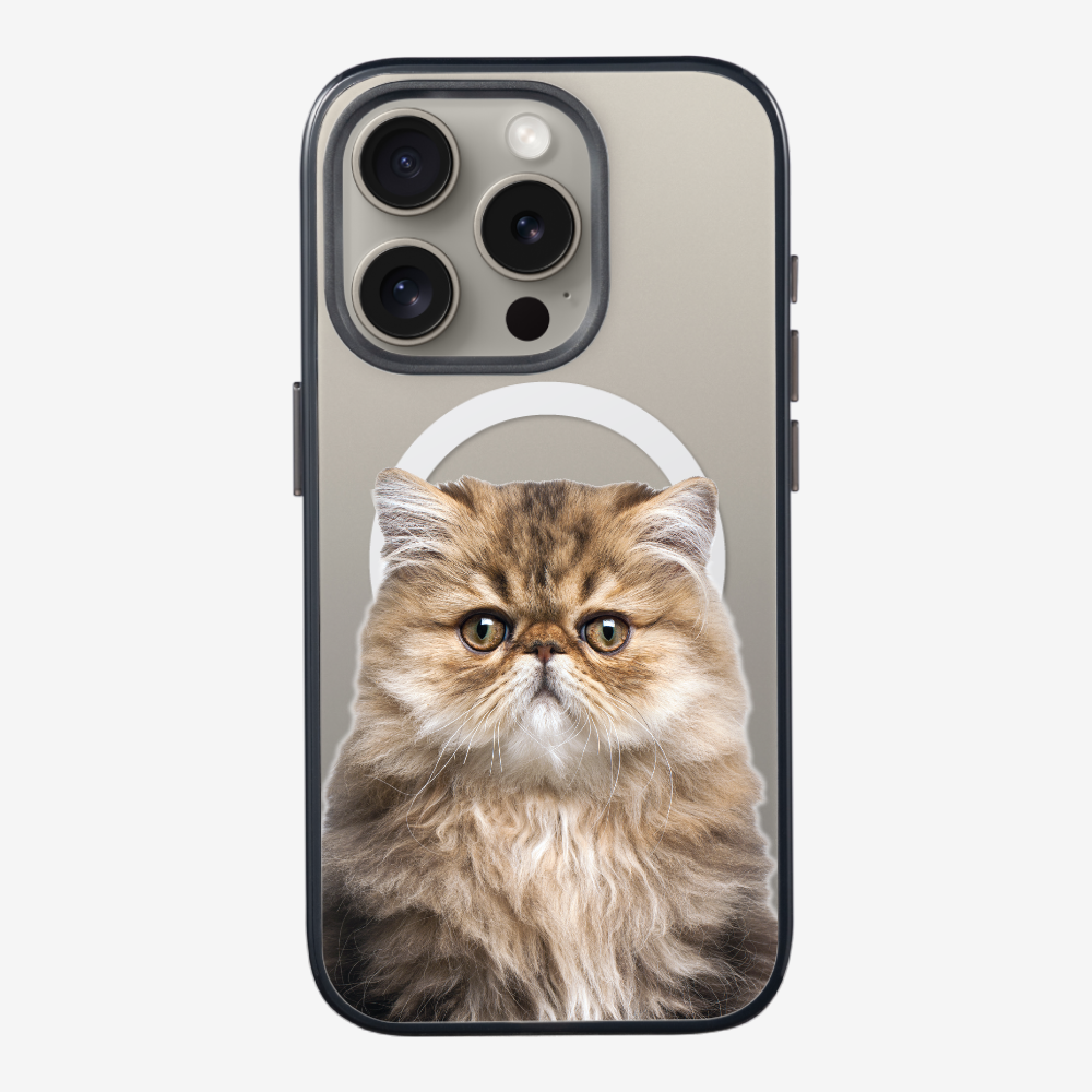 Persian Kitten (Transparent) Phone Case