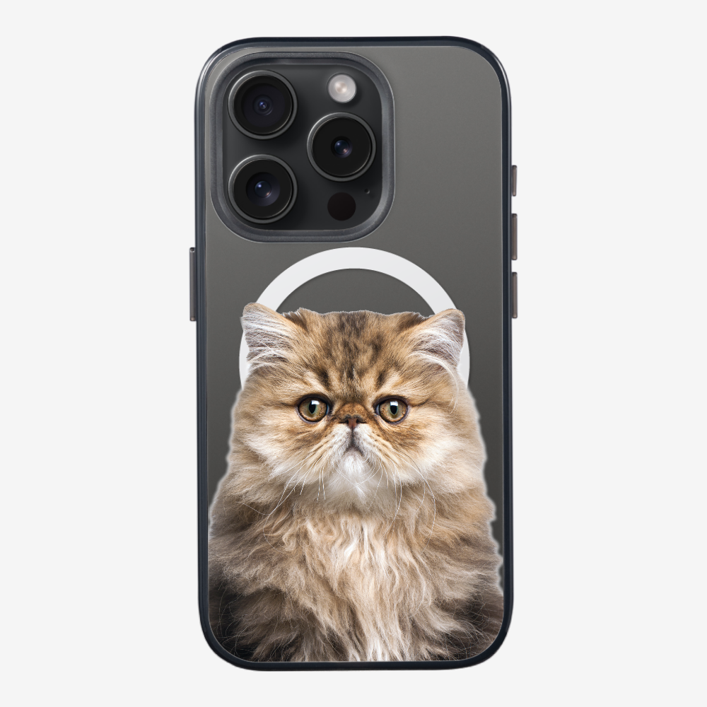 Persian Kitten (Transparent) Phone Case