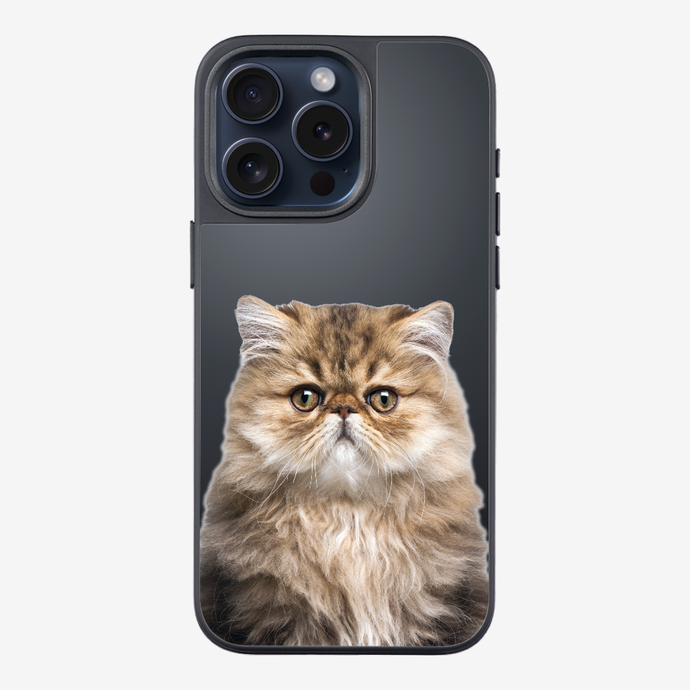 Persian Kitten (Transparent) Phone Case