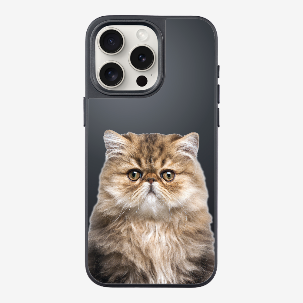 Persian Kitten (Transparent) Phone Case