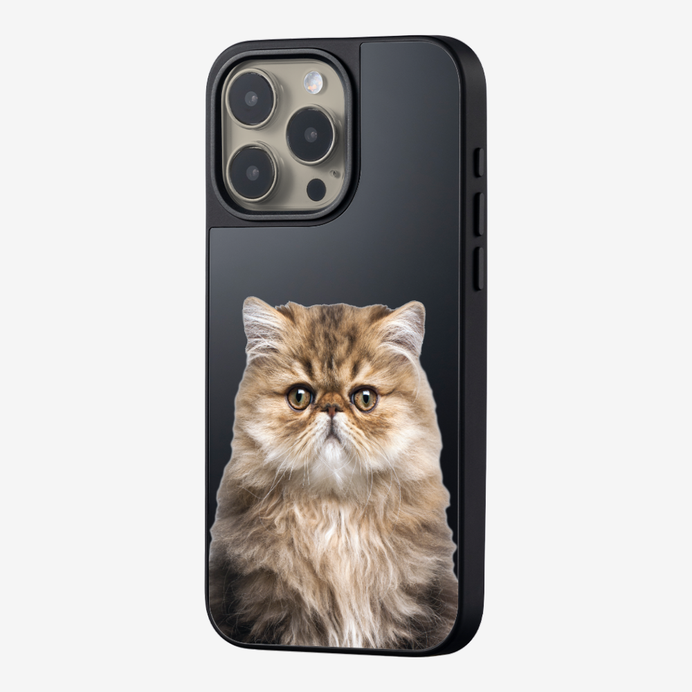 Persian Kitten (Transparent) Phone Case