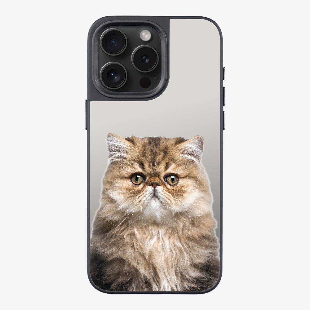 Persian Kitten (Transparent) Phone Case