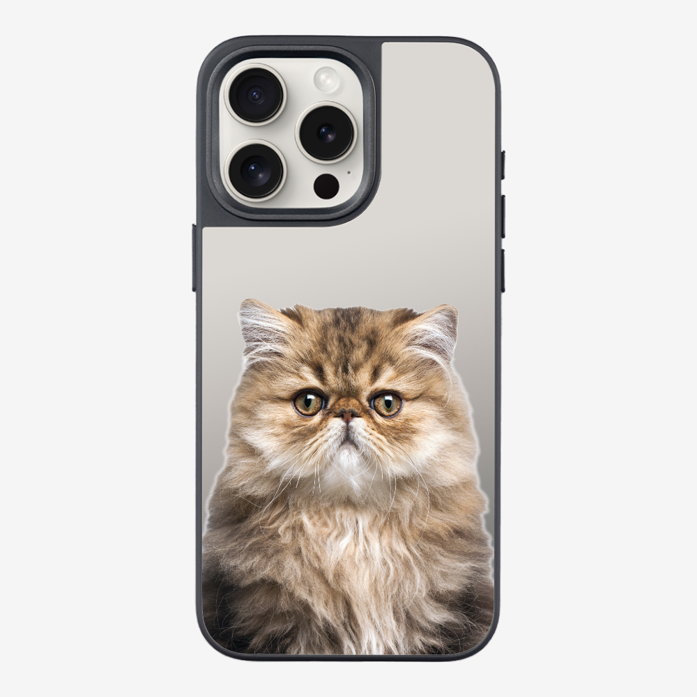 Persian Kitten (Transparent) Phone Case