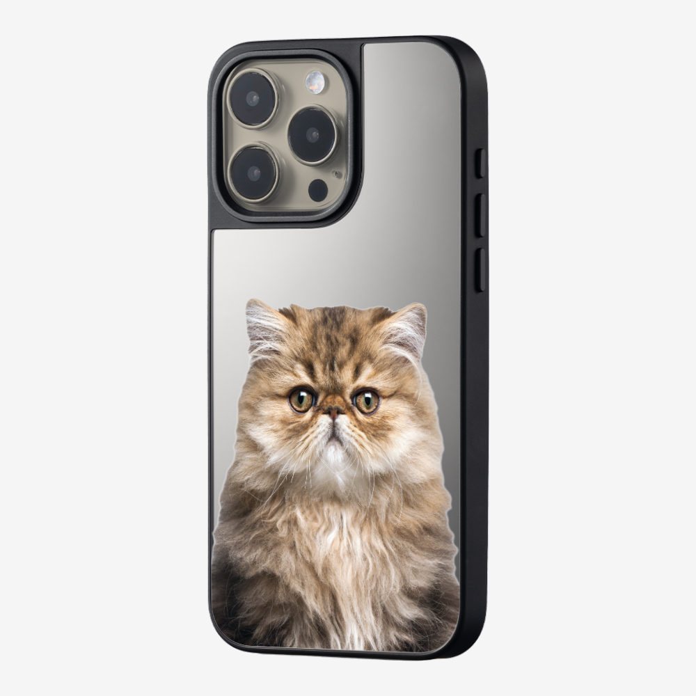 Persian Kitten (Transparent) Phone Case