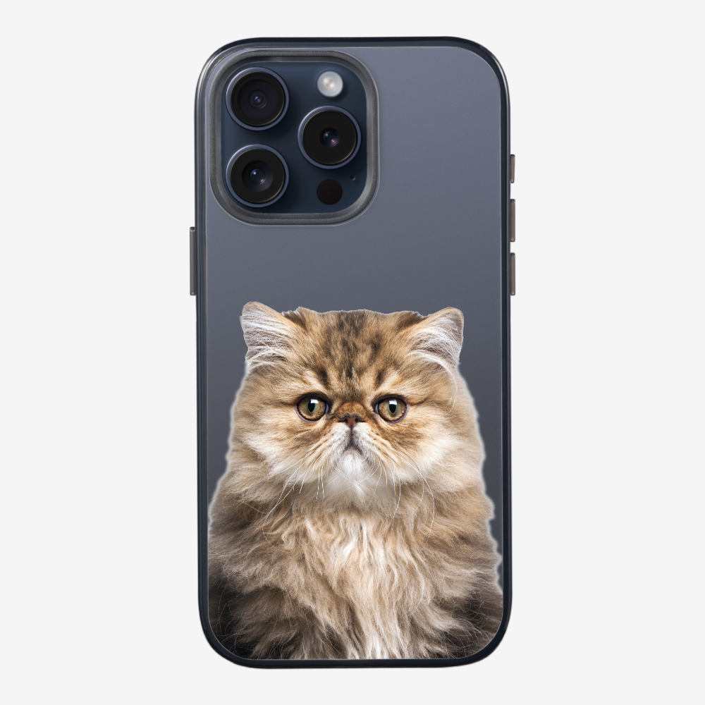 Persian Kitten (Transparent) Phone Case