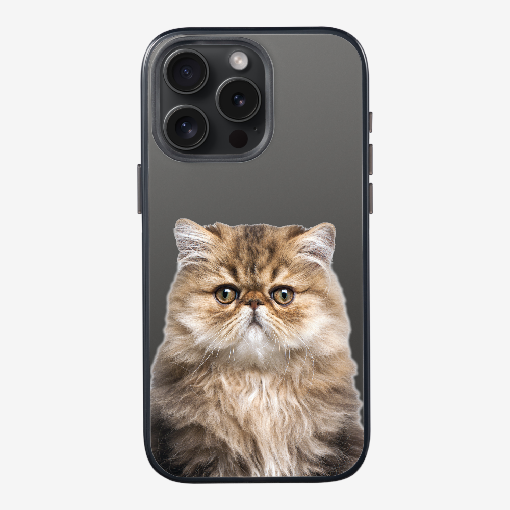 Persian Kitten (Transparent) Phone Case