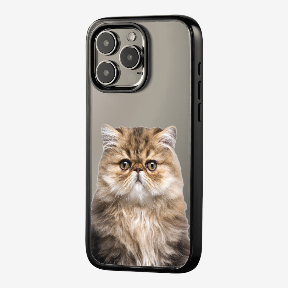 Persian Kitten (Transparent) Phone Case