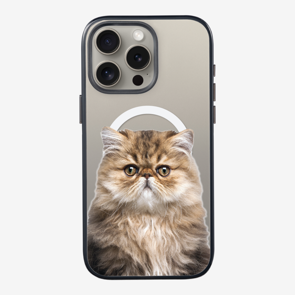 Persian Kitten (Transparent) Phone Case