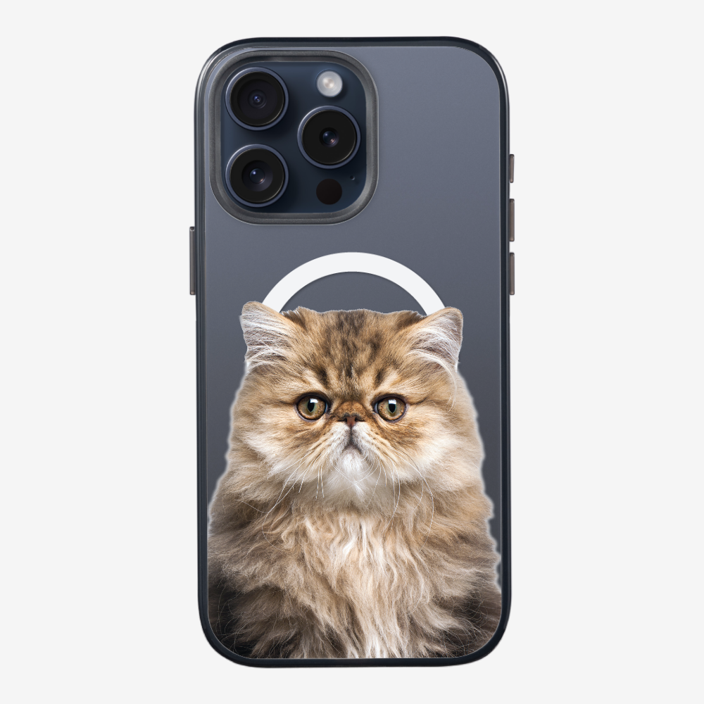 Persian Kitten (Transparent) Phone Case