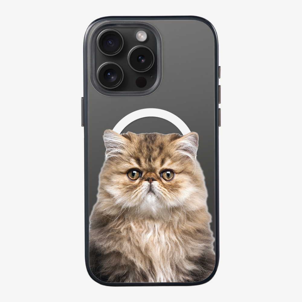 Persian Kitten (Transparent) Phone Case