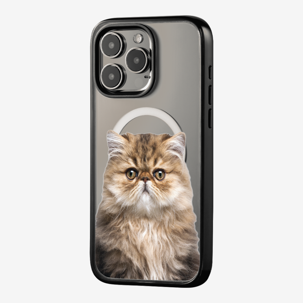 Persian Kitten (Transparent) Phone Case