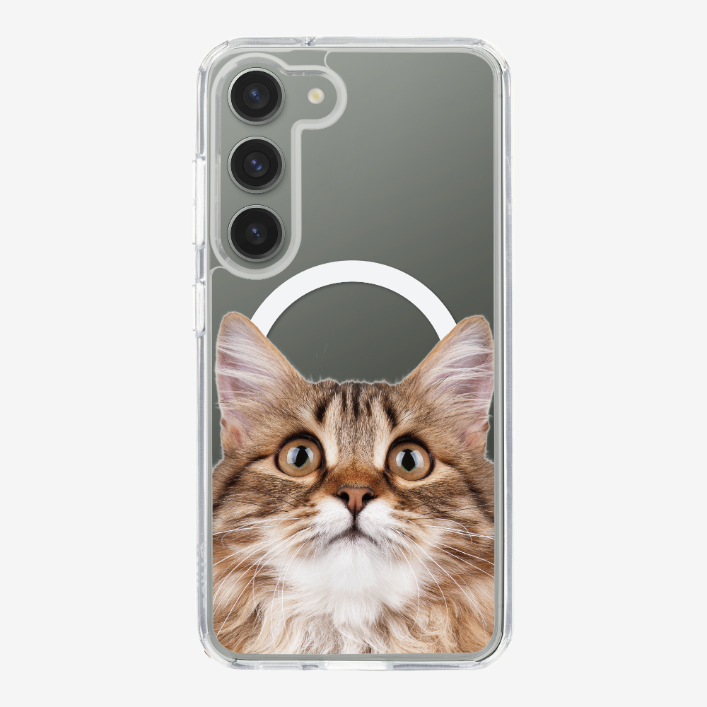 Long-haired Kitten (Transparent) Phone Case