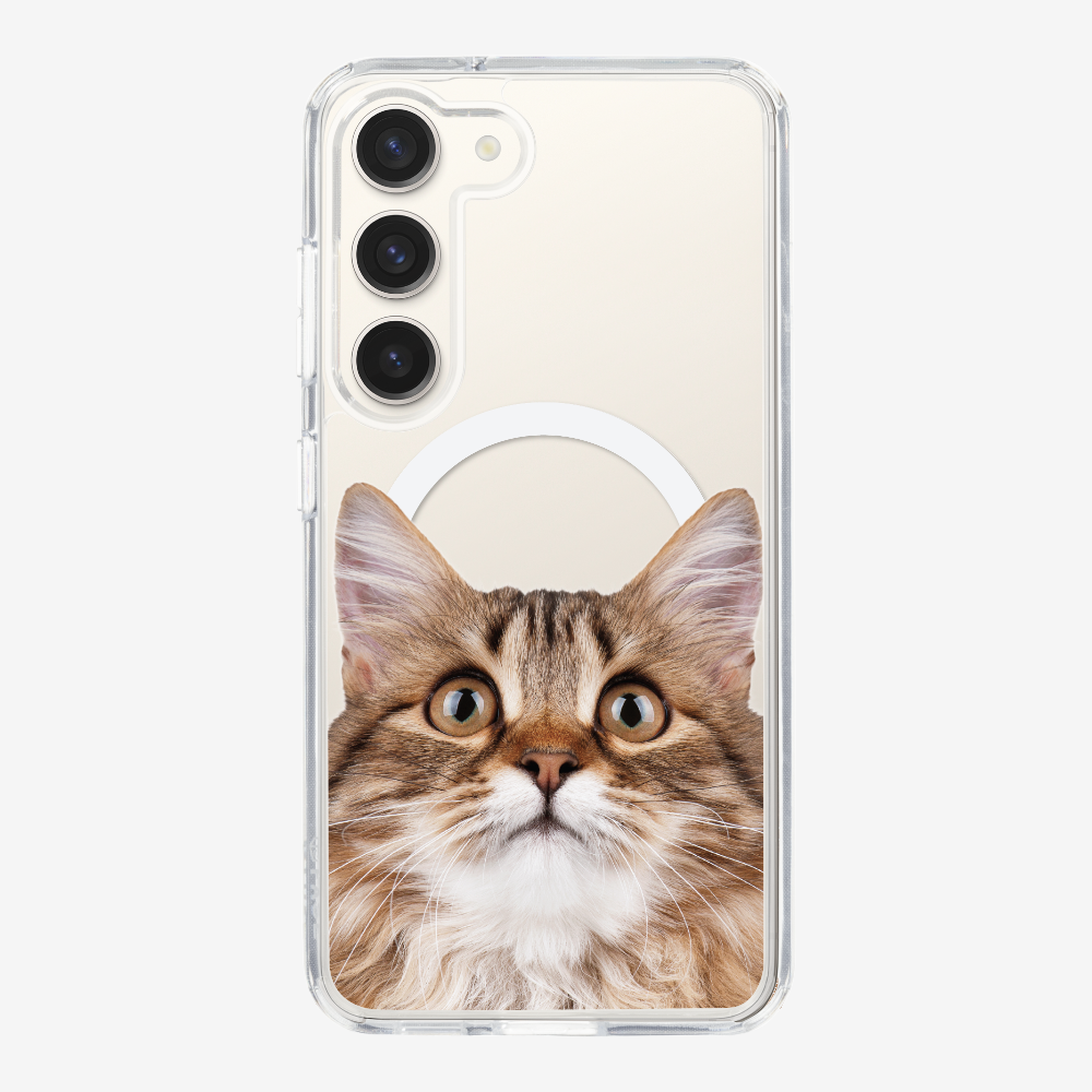 Long-haired Kitten (Transparent) Phone Case