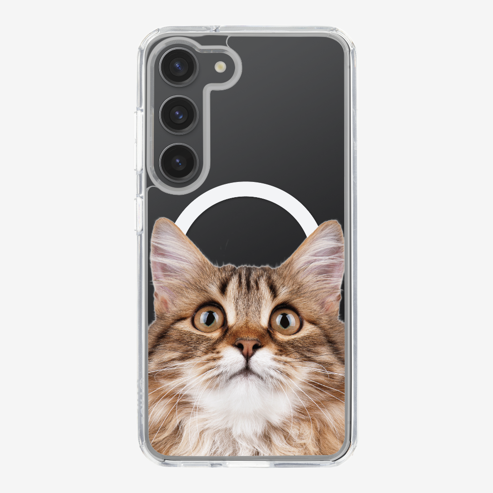 Long-haired Kitten (Transparent) Phone Case