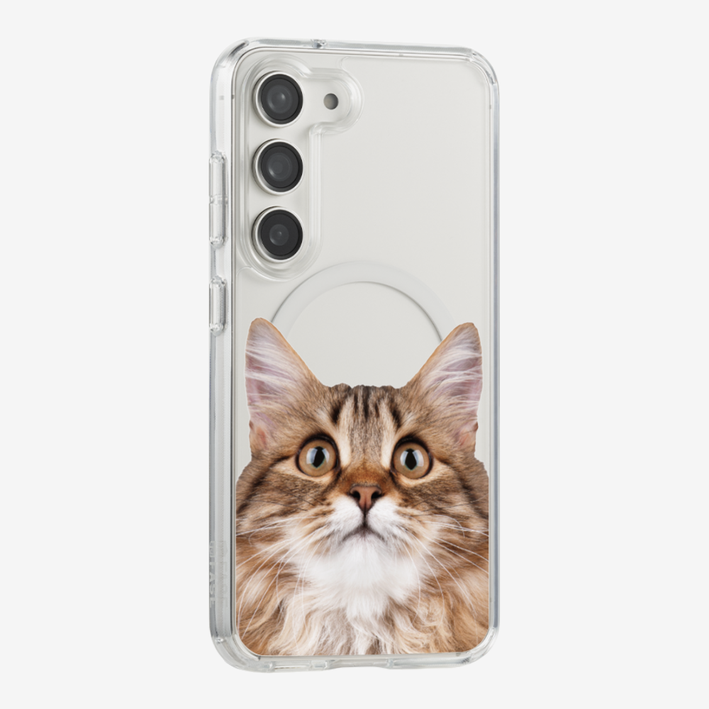 Long-haired Kitten (Transparent) Phone Case