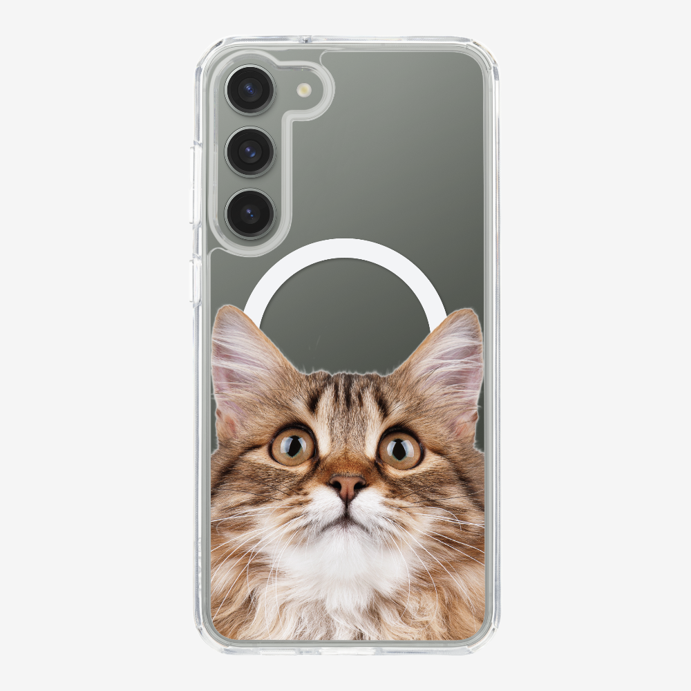 Long-haired Kitten (Transparent) Phone Case