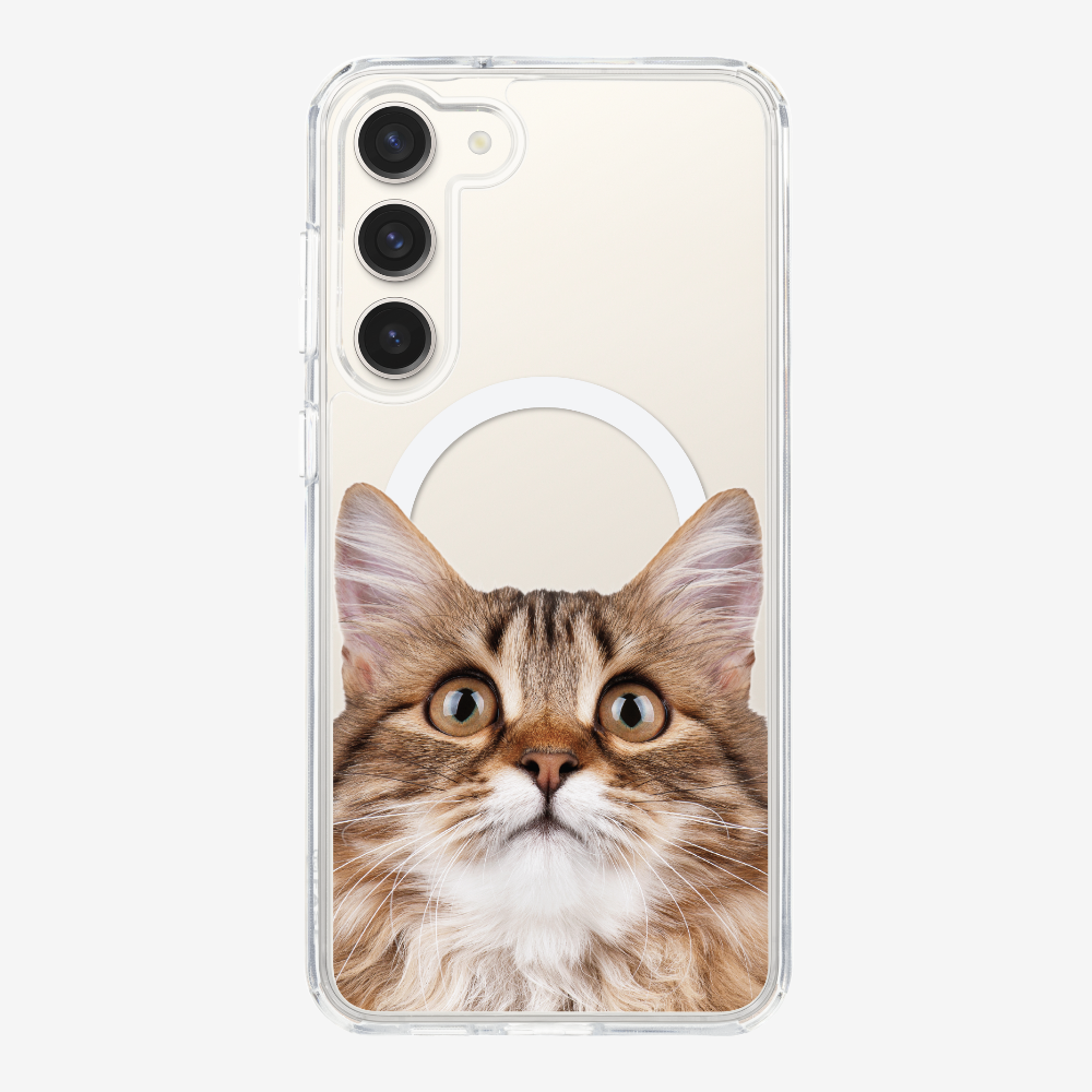 Long-haired Kitten (Transparent) Phone Case