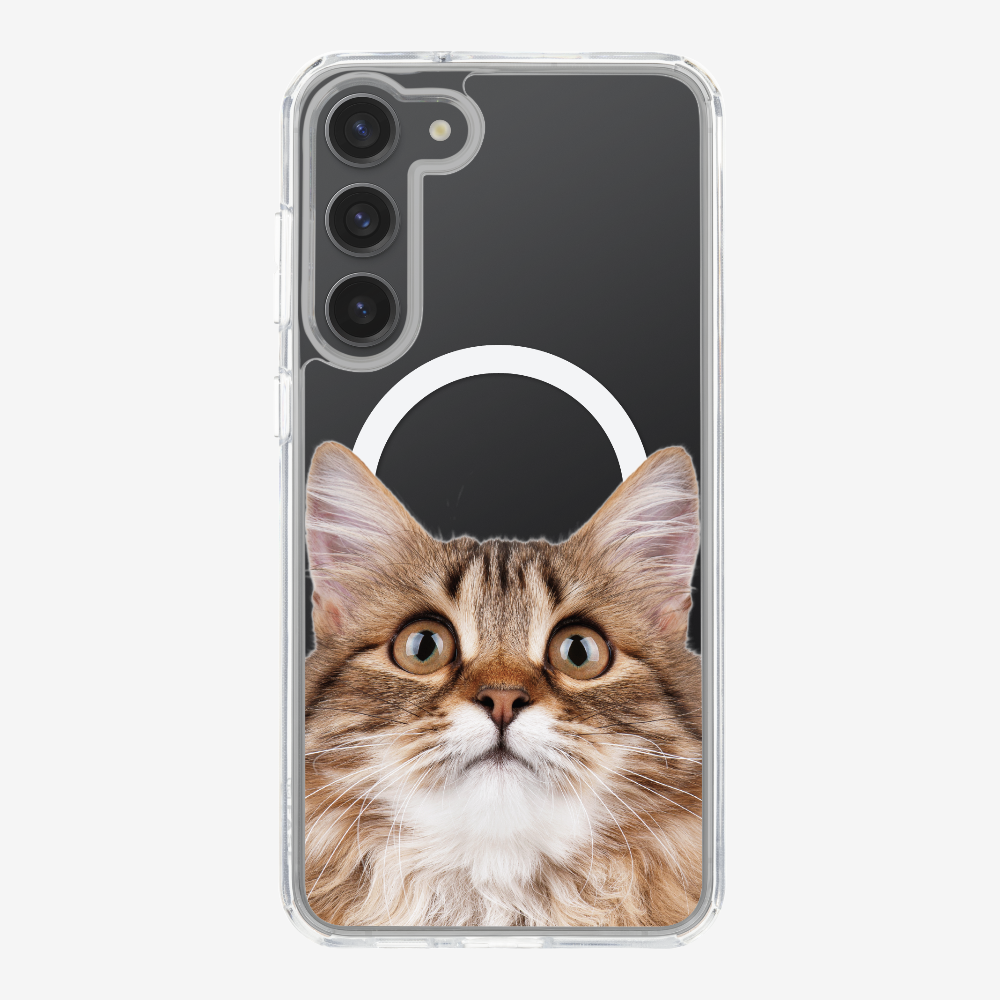 Long-haired Kitten (Transparent) Phone Case