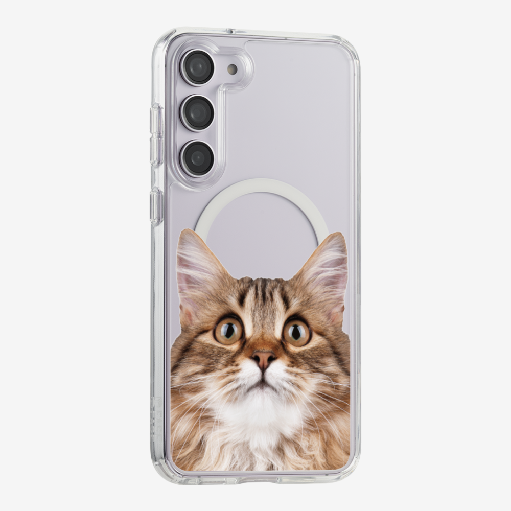 Long-haired Kitten (Transparent) Phone Case