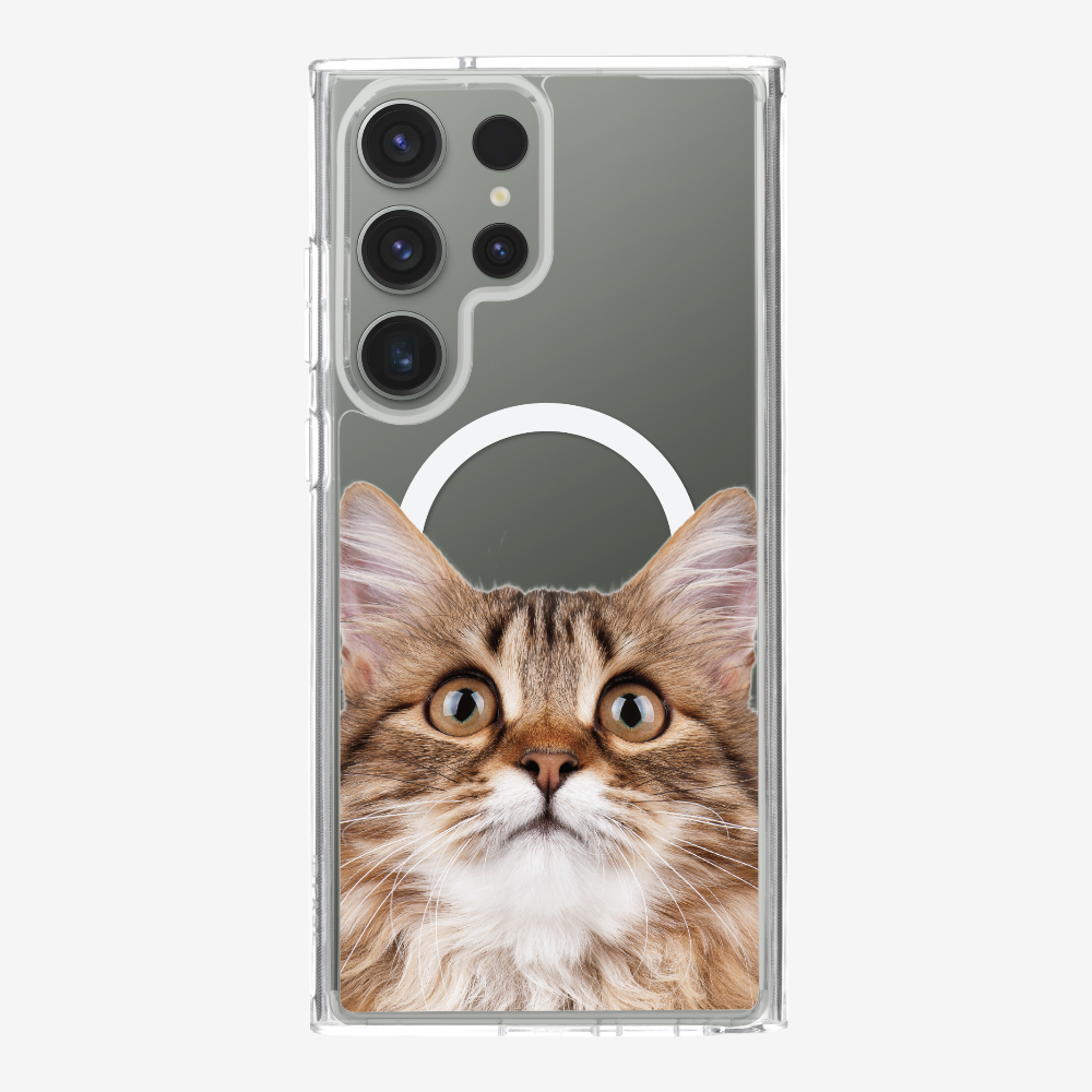 Long-haired Kitten (Transparent) Phone Case