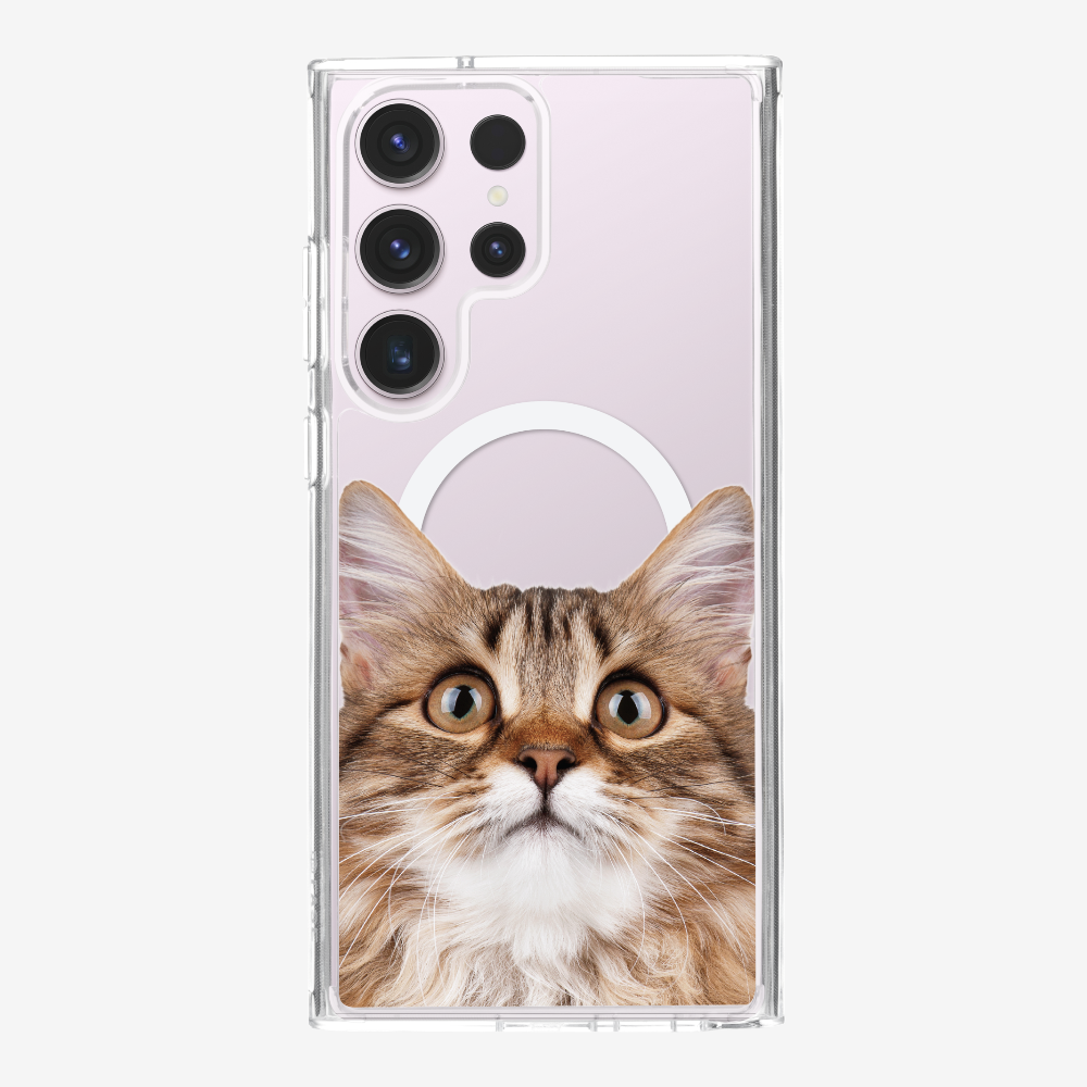 Long-haired Kitten (Transparent) Phone Case