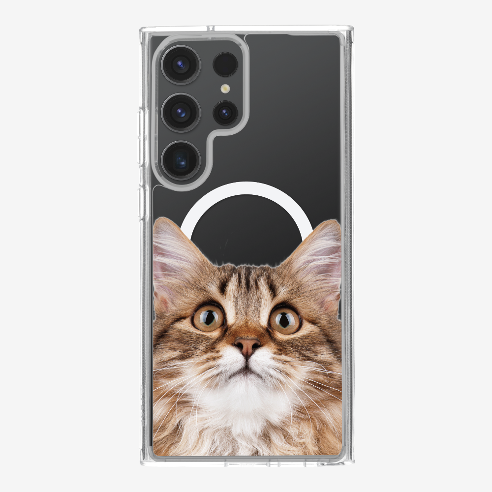 Long-haired Kitten (Transparent) Phone Case