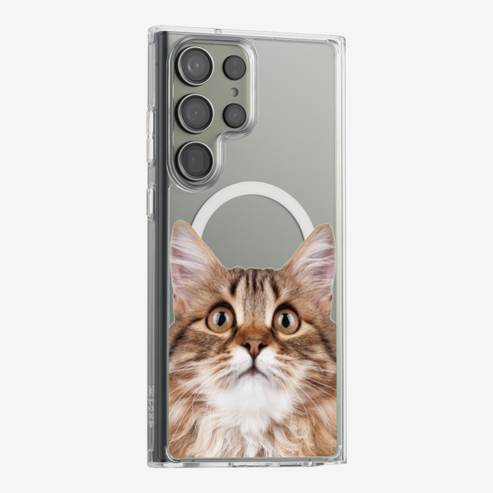 Long-haired Kitten (Transparent) Phone Case