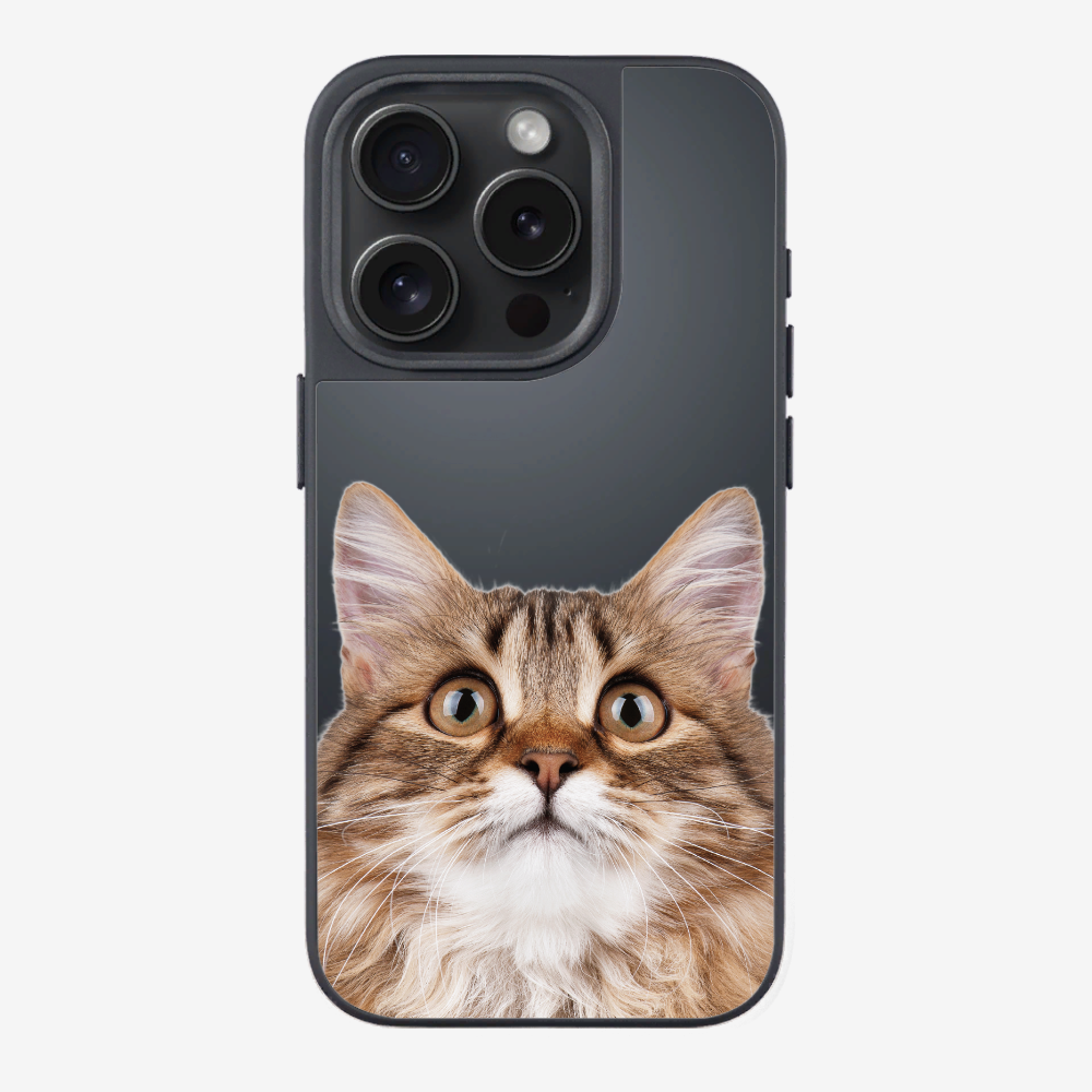 Long-haired Kitten (Transparent) Phone Case