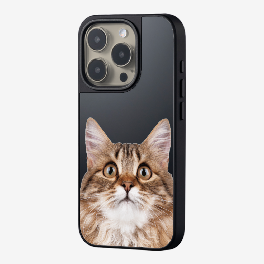 Long-haired Kitten (Transparent) Phone Case