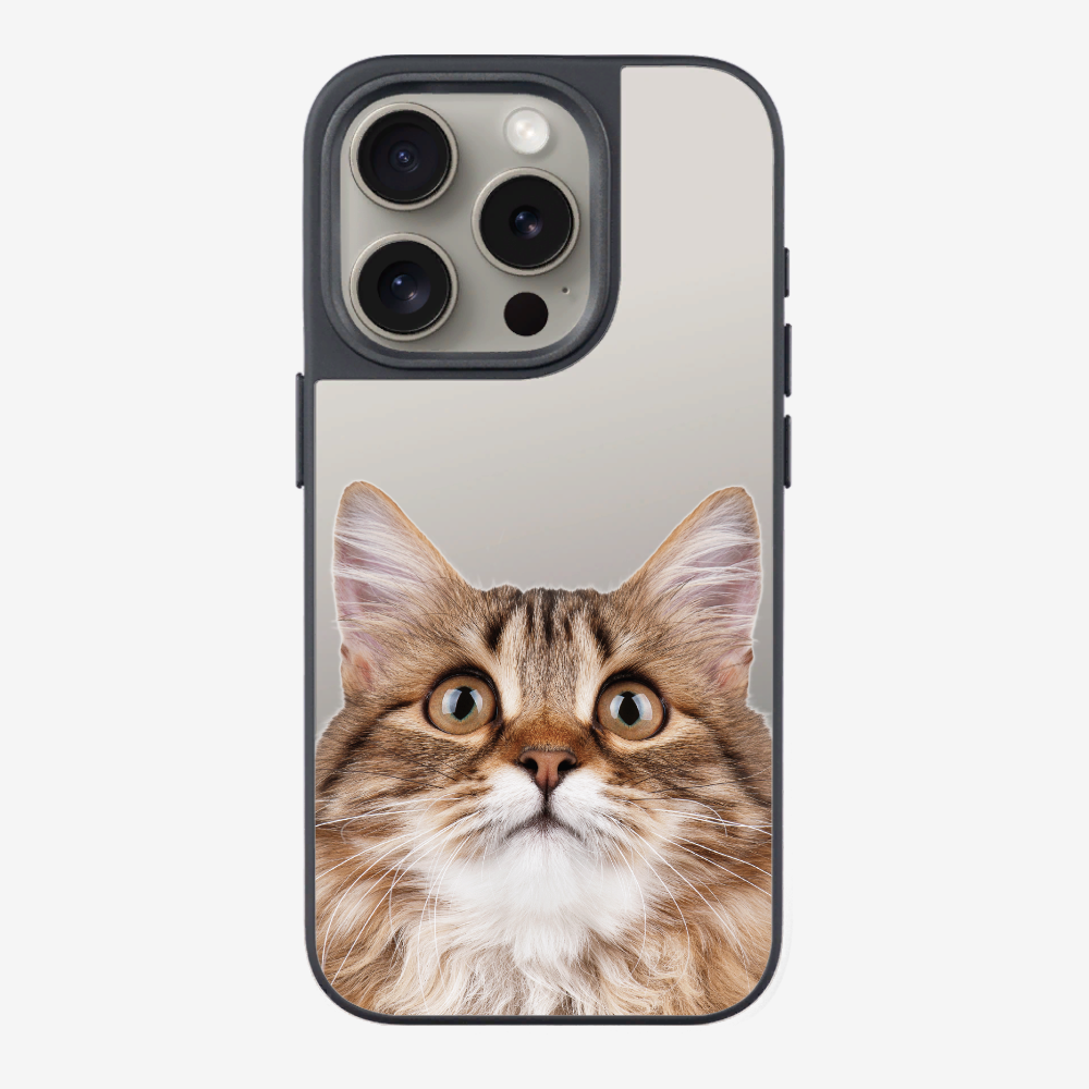 Long-haired Kitten (Transparent) Phone Case